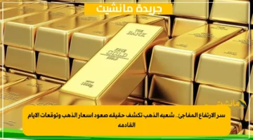 سر الارتفاع المفاجئ.. شعبة الذهب تكشف حقيقة صعود أسعار الذهب وتوقعات الأيام القادمة 1